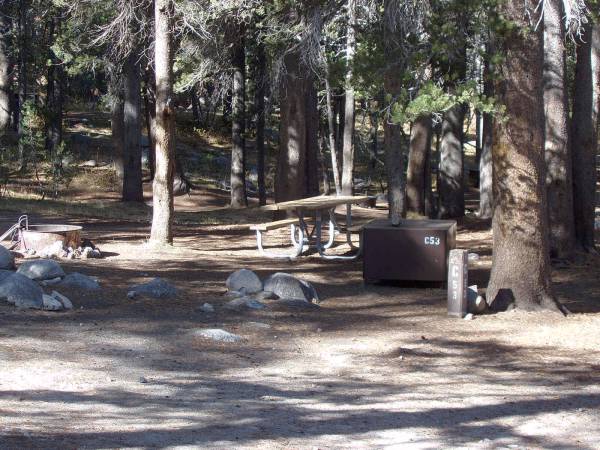 Tuoulumne Meadows Campground site c53