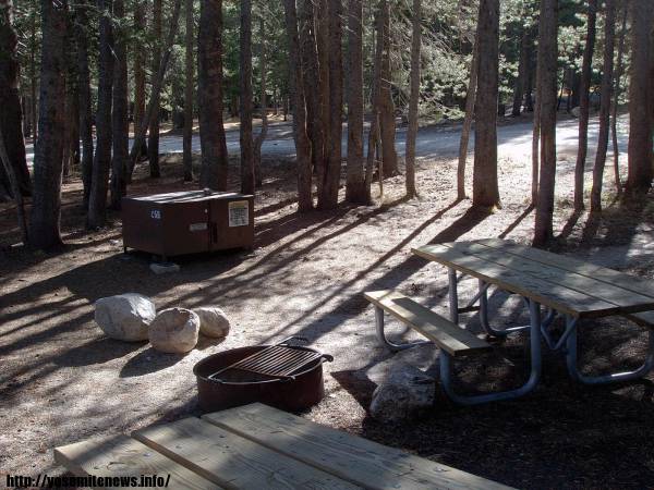 Tuoulumne Meadows Campground site c55