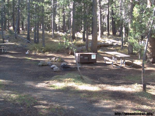 Tuoulumne Meadows Campground site c59