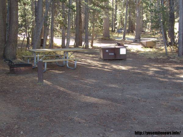 Tuoulumne Meadows Campground site c6