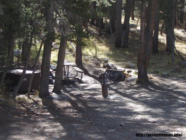 Tuoulumne Meadows Campground site c60a