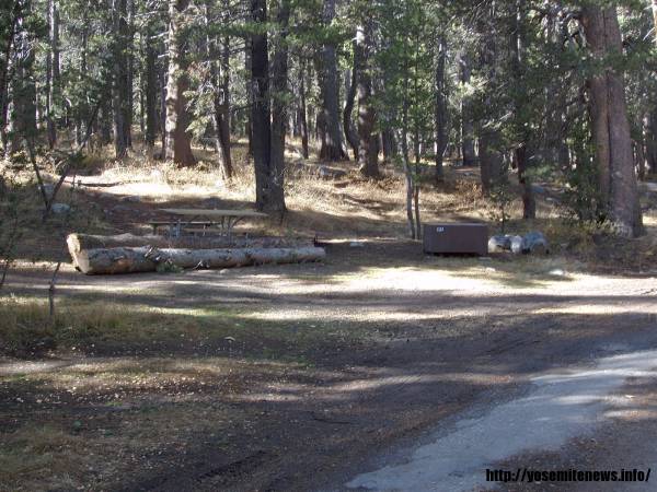 Tuoulumne Meadows Campground site c61