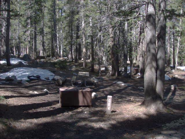 Tuoulumne Meadows Campground site c64