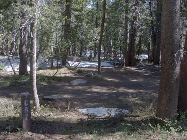 Tuoulumne Meadows Campground site c67