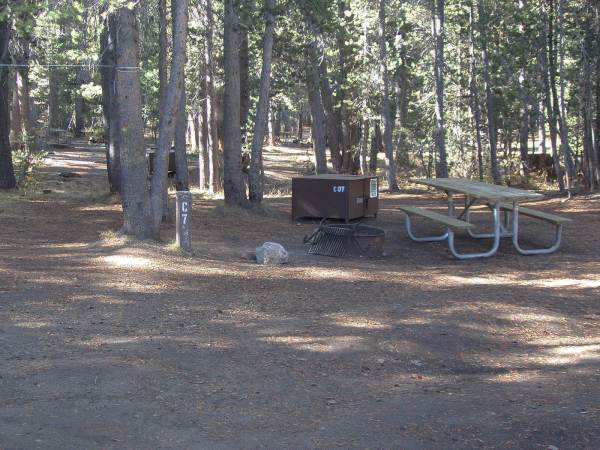 Tuoulumne Meadows Campground site c7