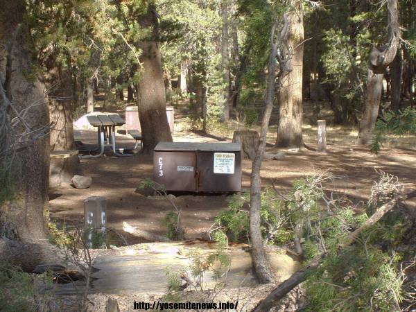 Tuoulumne Meadows Campground site c73