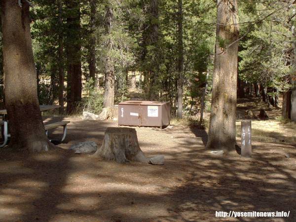 Tuoulumne Meadows Campground site c74