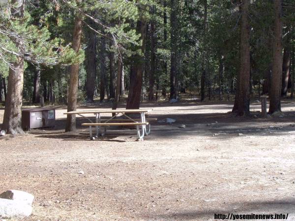 Tuoulumne Meadows Campground site c80