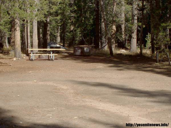 Tuoulumne Meadows Campground site c81