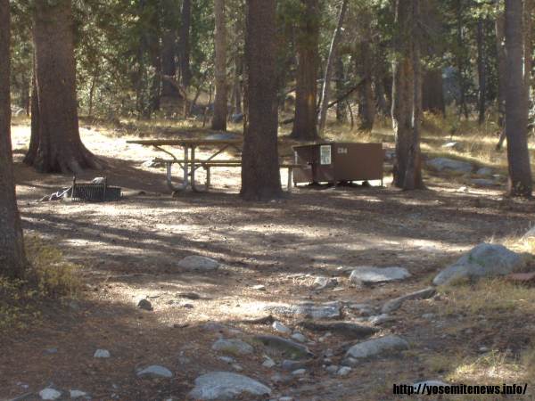 Tuoulumne Meadows Campground site c84