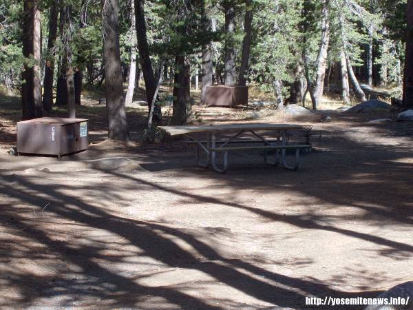 Tuoulumne Meadows Campground site c89