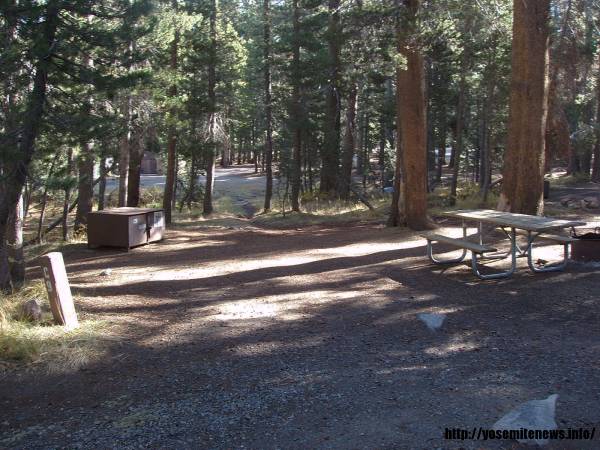 Tuoulumne Meadows Campground site c9