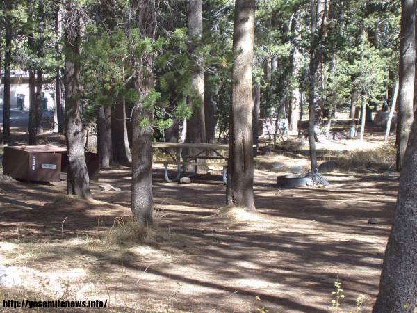 Tuoulumne Meadows Campground site c94