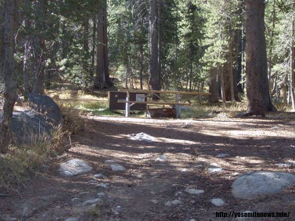 Tuoulumne Meadows Campground site d1