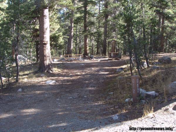 Tuoulumne Meadows Campground site d12