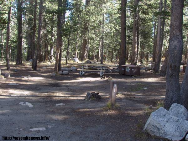 Tuoulumne Meadows Campground site d16