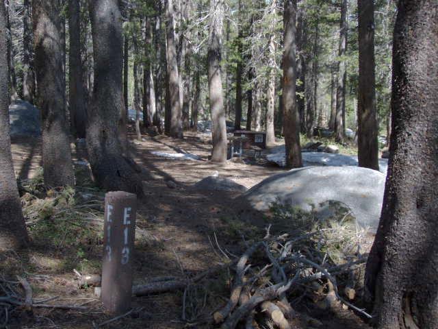 Tuoulumne Meadows Campground site e13