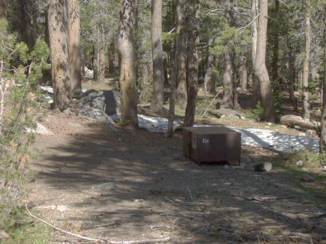 Tuoulumne Meadows Campground site e14