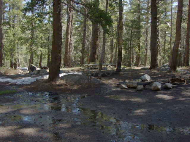Tuoulumne Meadows Campground site e4