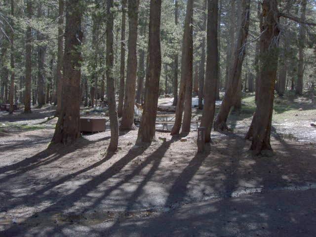 Tuoulumne Meadows Campground site e5