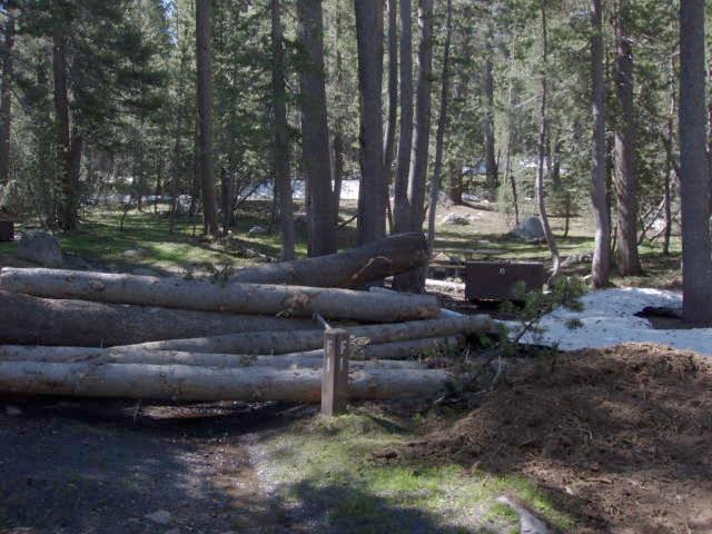 Tuoulumne Meadows Campground site f1
