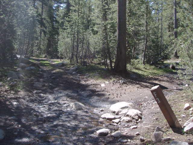 Tuoulumne Meadows Campground site f3