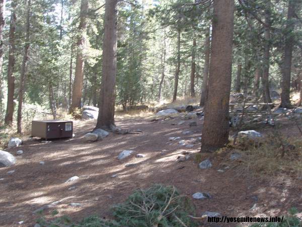 Tuoulumne Meadows Campground site f4