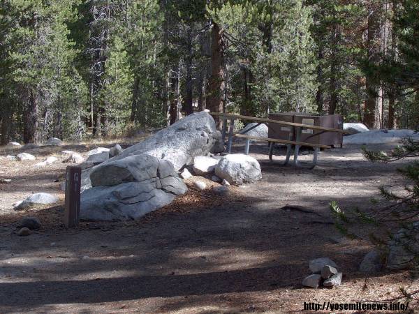 Tuoulumne Meadows Campground site g1
