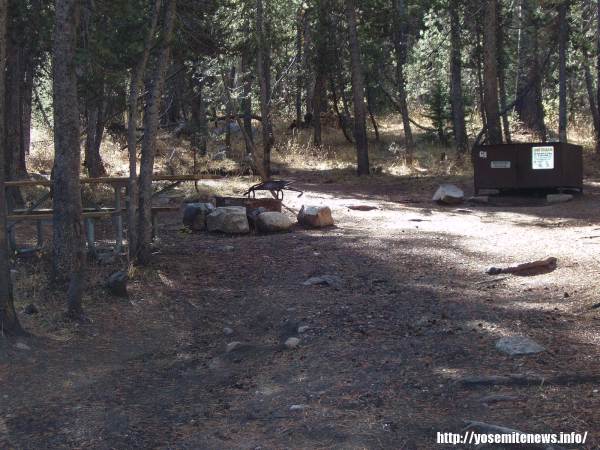 Tuoulumne Meadows Campground site g11