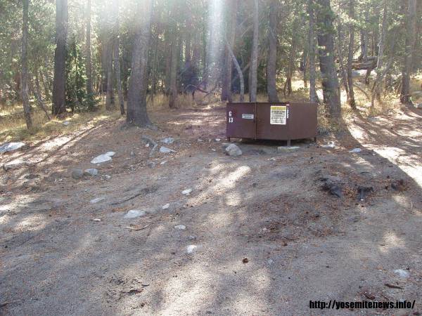 Tuoulumne Meadows Campground site g13