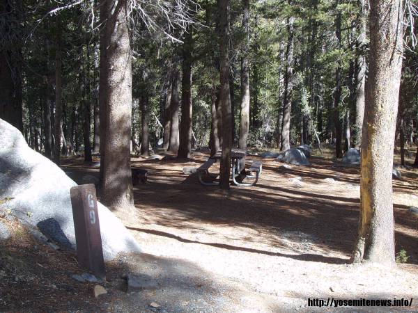 Tuoulumne Meadows Campground site g9