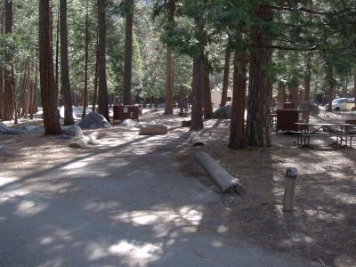 Upper Pines Campsite 100