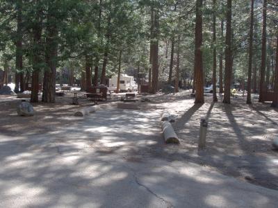Upper Pines Campsite 101
