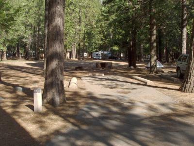 Upper Pines Campsite 105