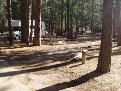 Upper Pines Campsite 107