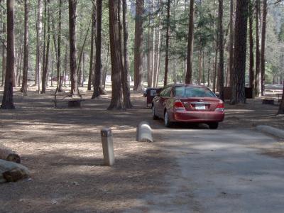 Upper Pines Campsite 11