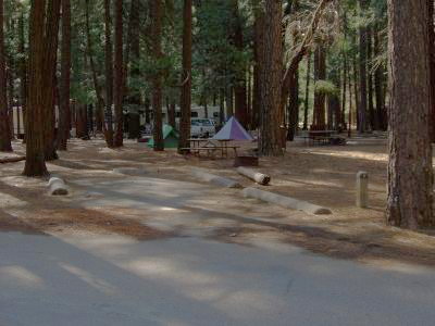 Upper Pines Campsite 12