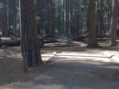 Upper Pines Campsite 143