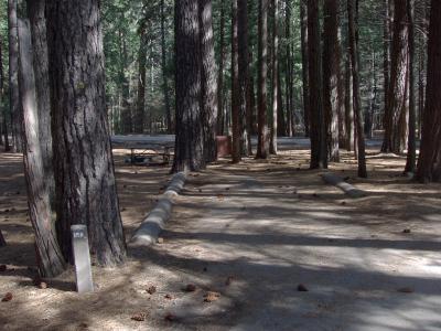 Upper Pines Campsite 158