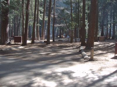 Upper Pines Campsite 170