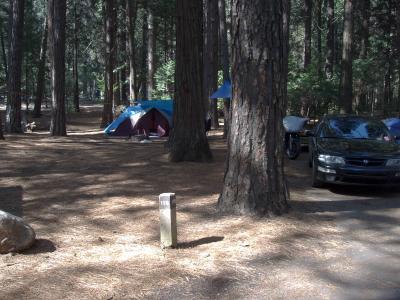 Upper Pines Campsite 175