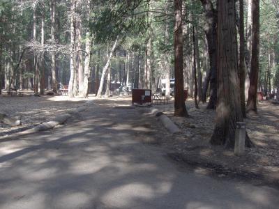 Upper Pines Campsite 181