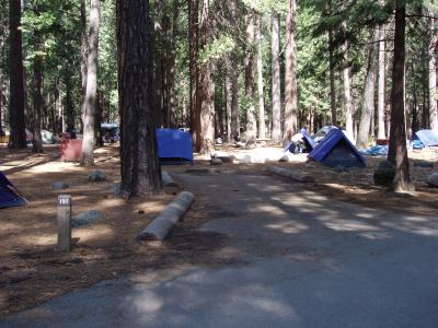 Upper Pines Campsite 191