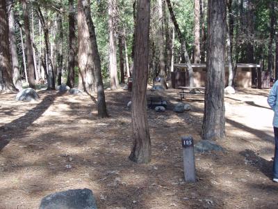 Upper Pines Campsite 195