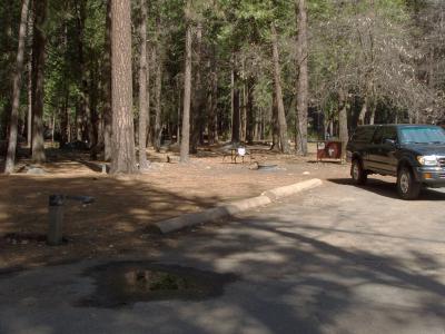 Upper Pines Campsite 202