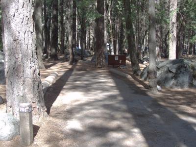 Upper Pines Campsite 206