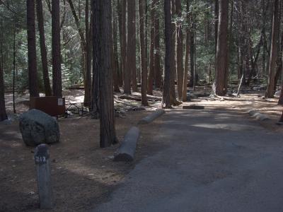 Upper Pines Campsite 213