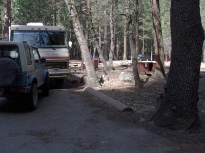 Upper Pines Campsite 217