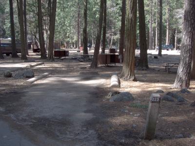 Upper Pines Campsite 223