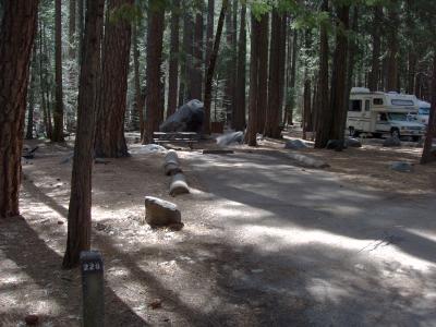 Upper Pines Campsite 226